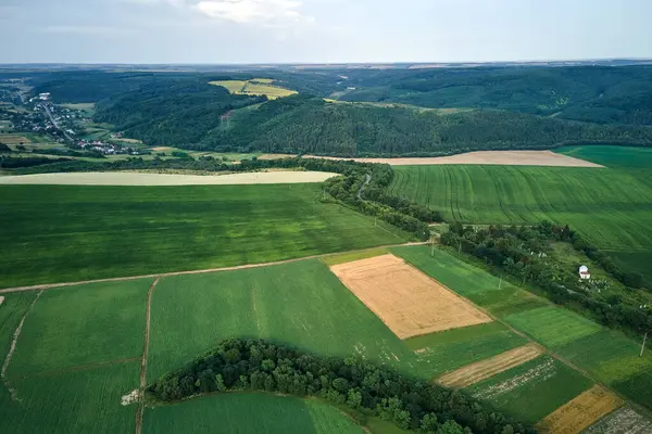 明るい夏の日に作物を栽培している緑と黄色の栽培農業分野の空中風景ビュー — ストック写真