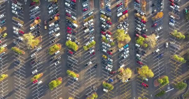 Flygfoto Många Bilar Parkerade Parkeringen Framför Livsmedelsaffär — Stockvideo