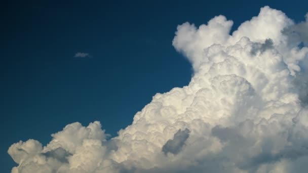 Blauwe Lucht Met Witte Zomerse Regenwolken Kleurrijk Zomerlandschap — Stockvideo