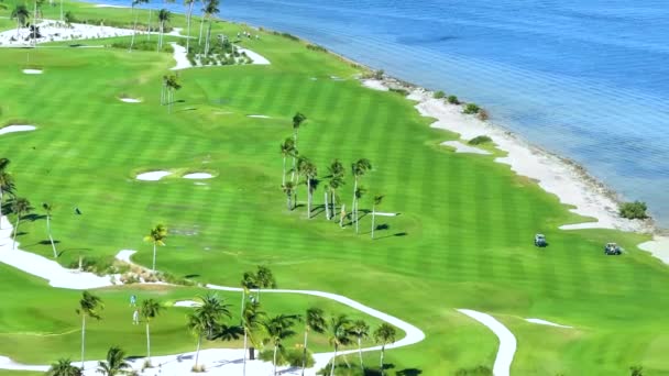 Golfbana Vid Havet Soliga Florida Utomhus Idrottsplatser Med Gröna Gräsmattor — Stockvideo