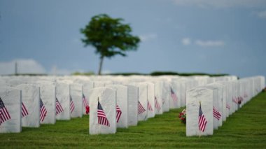 Yeşil çimlerin üzerinde beyaz mezar taşları olan Amerikan askeri mezarlığı. Anma Günü konsepti.