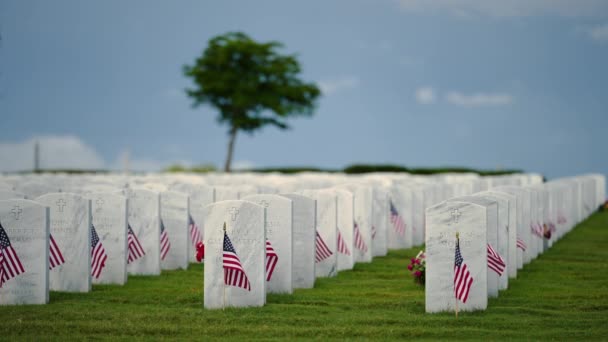 Yeşil Çimlerin Üzerinde Beyaz Mezar Taşları Olan Amerikan Askeri Mezarlığı — Stok video