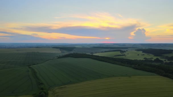 夏季绿地的空中景观伴随着庄稼的生长 农业耕地 农业和农业工业 — 图库视频影像