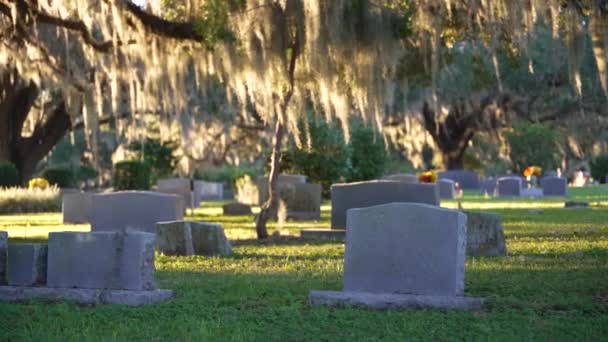 Cemitério Velho Com Pedras Graves Sob Carvalhos Gramado Grama Verde — Vídeo de Stock