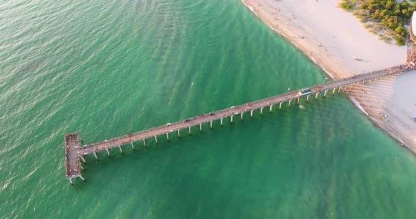 Venedik Florida Nsanlar Balıkçı Iskelesinde Tatilin Tadını Çıkarıyorlar Deniz Kenarında — Stok video