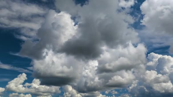 Rain Clouds Forming Blue Florida Sky Colorful Summer Skyscape — Stock Video