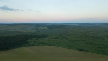 Yaz mevsiminde ekili tarım tarlaları, büyüyen ekinler. Yeşil tarlalar. Tarım ve tarım endüstrisi.