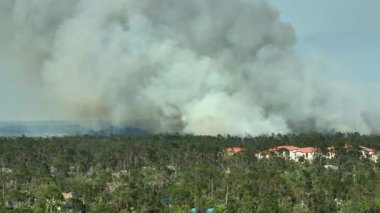 Kuzey Liman Şehri, Florida 'da yangın söndüren itfaiye helikopteri. Acil servis helikopteri ormanda alevleri söndürmeye çalışıyor. Banliyö evlerinden yükselen yoğun duman.