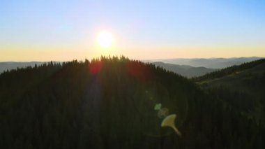 Güzel doğa manzarası. Vahşi dağlarda renkli günbatımının havadan görünüşü. Parlak batan güneşle aydınlatılmış karanlık çam ormanı..