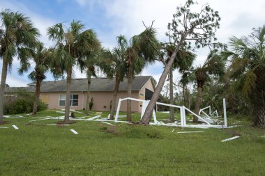 Büyük ağaçtan düşmek Florida 'da kasırga üstüne çitlere zarar verdi. Doğal afetin sonuçları..