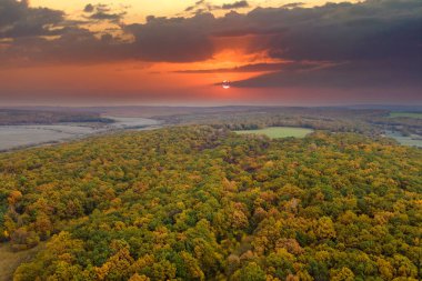 Sonbahar mevsiminde orman manzarası. Sonbaharda sarı tenteli renkli orman.