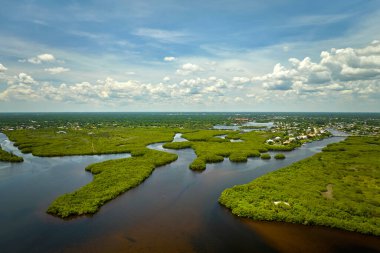 Everglades 'in su koyları arasındaki yeşil bitki örtüsüyle kaplı bataklığını görebiliyoruz. Florida 'daki birçok tropikal türün doğal yaşam alanı..