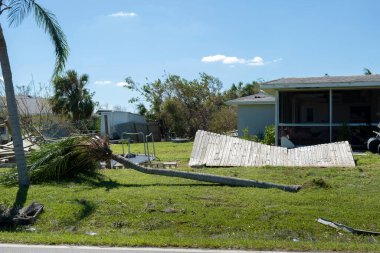Florida 'nın ön bahçesindeki kasırgadan sonra sökülmüş palmiye ağaçları. Doğal afet kavramından sonra.