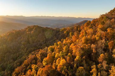 Günbatımında Appalachian dağlarının sonbahar ormanları. Renkli ormanlarda sarı ve turuncu gölgeler. Sonbahar mevsiminde vahşi doğanın manzarası.