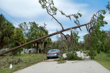 Kasırga rüzgarı, Florida 'daki elektrik hattı ve iletişim kablosunu bozdu. Doğal afetten sonra şebekeye hasar.