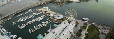 Florida, ABD 'nin Miami şehrinin şehir merkezindeki Biscayne Körfezi limanına lüks yatlar yanaştı..