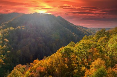 Appalachian Dağları 'nın günbatımında sonbahar mevsiminde doğa. Sonbaharda sarı tenteli renkli orman.