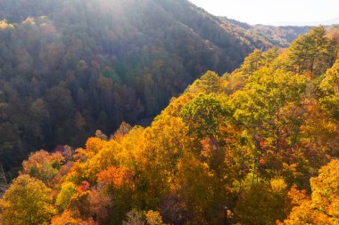 Kuzey Carolina 'daki Appalachian dağlarının günbatımı tepelerinde sonbahar mevsiminde yemyeşil orman ağaçları vardı. Sonbahar doğasının güzelliği.