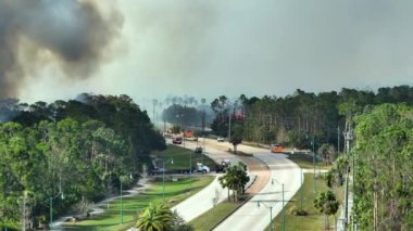 İtfaiye itfaiye araçları Florida ormanlarında şiddetle yanan yangını söndürüyor. Ormanda yangın söndürmeye çalışan acil servis araçları..