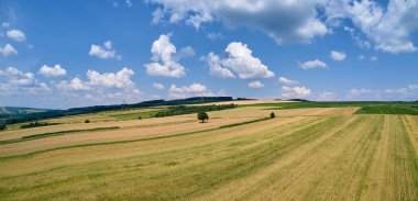 Yeşil ve sarı ekili tarlaların hava manzarası. Parlak yaz gününde ekinlerin büyüdüğü tarlalar..