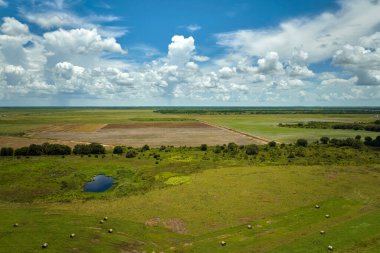 Yaz mevsiminde ekinlerin büyüdüğü yeşil tarlaların havadan görünüşü. Tarım ve tarım endüstrisi.