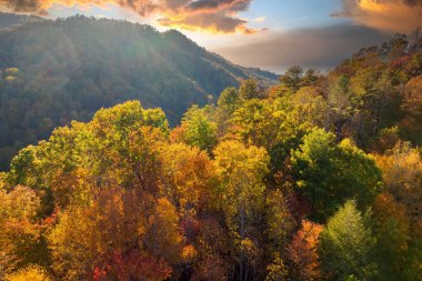 Günbatımında Appalachian dağlarının sonbahar ormanları. Renkli ormanlarda sarı ve turuncu gölgeler. Sonbahar mevsiminde vahşi doğanın manzarası.