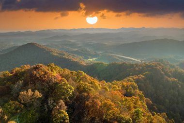Günbatımında Appalachian dağlarındaki sonbahar ormanı aydınlık yemyeşil ve çam ağaçları ile aydınlanır. Güzel doğanın sonbahar manzarası.