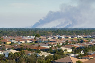 Prescribed fire smoke rising up over suburban neighborhood in Florida. clipart