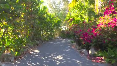 Florida 'daki Casey Key manzaralı yolda sürüyorum.