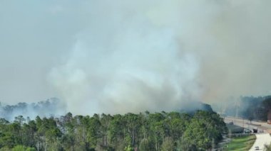 Florida ormanlarında yangın söndüren itfaiye araçları. İtfaiye araçları ormanda yangın çıkarmaya çalışıyor. Zehirli duman kirletici atmosfer.