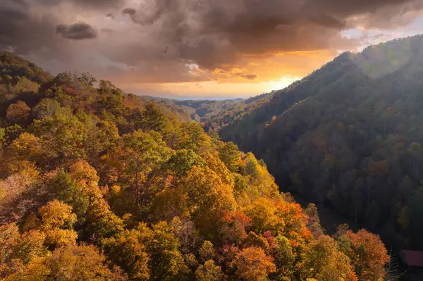 Sonbahar akşamı Appalachian dağ tepeleri, güz mevsiminde aydınlık yemyeşil ve çam ağaçları ile. Güzel doğanın sonbahar manzarası.