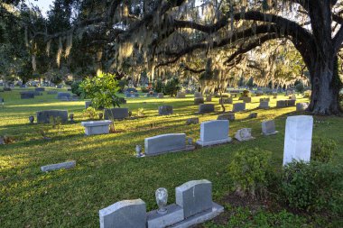 Gün batımında birçok mezar taşı olan bir mezarlık. Orlando, Florida 'da yeşil çimlerin üzerindeki Güney meşe ağaçlarının altındaki mezarlık..