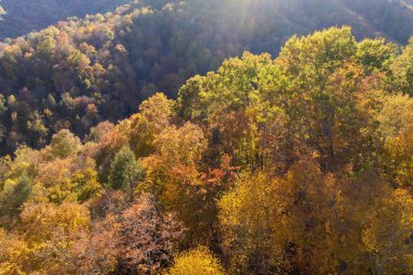 Appalachian Dağları 'nın günbatımında sonbahar mevsiminde doğa. Sonbaharda sarı tenteli renkli orman.