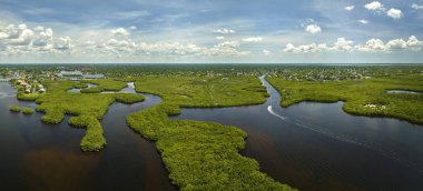 Florida 'nın yukarısından, okyanus suları arasında yeşil bitki örtüsü olan bir yer. Bataklıktaki birçok tropikal türün doğal yaşam alanı.