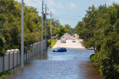 Hurricane flooded car on city street in surrounded with water Florida residential area. Consequences of hurricane Debby natural disaster. clipart