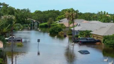 Debby Kasırgası Sarasota, Florida 'daki Laurel Meadows bölgesinde evleri ve arabaları sular altında bıraktı. Doğal afetten sonra.