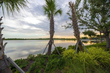 Florida gölü doğası gün batımında. Venedik 'teki Wellen parkında eğlence amaçlı vahşi yaşam alanı.