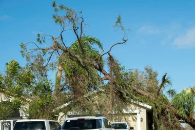 Kasırgadan sonra kökünden sökülmüş ağaçların Florida 'daki evinin çatısı hasar görmüş. Yok edilen ev için sigorta talebi. Doğal afet kavramından sonra.