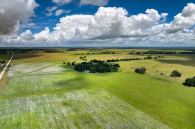 Florida 'daki tarlalar. Yaz mevsiminde yetiştirilen tarım tarlaları ve yetiştirilen yeşil mahsuller. ABD 'de tarım ve tarım endüstrisi.