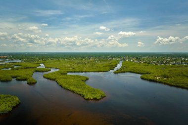 Florida 'nın yukarısından, okyanus suları arasında yeşil bitki örtüsü olan bir yer. Bataklıktaki birçok tropikal türün doğal yaşam alanı.