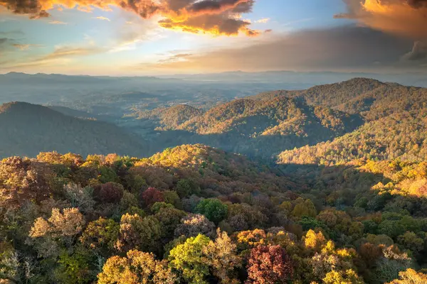 Sonbahar mevsiminde sarı orman ağaçlarıyla Kuzey Carolina 'daki Appalachian Dağları' na tırmandım. Sonbahar doğasının güzelliği.