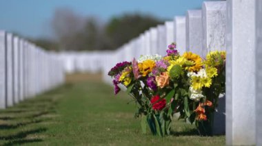 Yeşil çimlerin üzerinde çiçekler olan beyaz mezar taşları olan Amerikan ulusal mezarlığı. Anma Günü konsepti