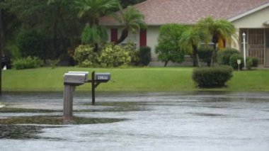 Kasırga, Florida yerleşim bölgesinde suyla çevrili posta kutusuyla doldu. Doğal afetin sonuçları.
