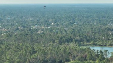Florida orman ormanlarında şiddetli yangın söndüren acil servis helikopteri. Polis helikopteri ormanda alevleri söndürmeye çalışıyor. Zehirli duman kirletici atmosfer.