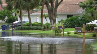 Kasırga, Florida yerleşim bölgesinde suyla çevrili posta kutusuyla doldu. Doğal afetin sonuçları.