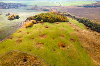 Sonbahar mevsiminde yeşil ormanlar arasında ekin ekmeye hazırlanan ekili verimli toprağın ekili tarlaların havadan görünüşü.
