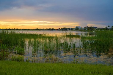 Gün batımında güzel doğa manzarası. Venedik, Florida 'daki Wellen Park' ta vahşi yaşam gölü.