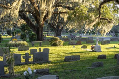 Ölüm ve cenaze konsepti. Güney meşe ağaçlarının altında, Orlando, Florida 'da yeşil çimlerde sıralanmış mezar taşları olan Amerikan mezarlığı..