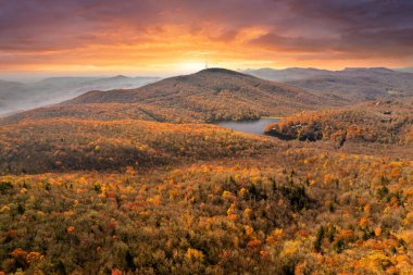 Günbatımında Appalachian dağlarındaki sonbahar ormanı aydınlık yemyeşil ve çam ağaçları ile aydınlanır. Güzel doğanın sonbahar manzarası.