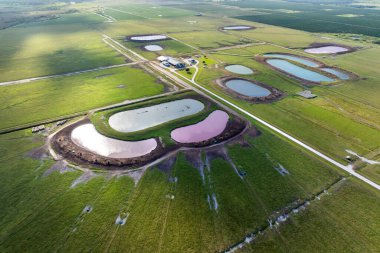 Çiftlik sığırları için su birikintileri. Çayır tarlalarında otlayan inekler için su kaynağı. Florida 'da yeşil sanayi çayırları.